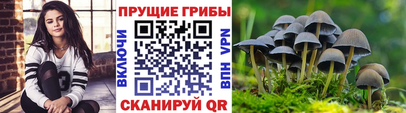 Псилоцибиновые грибы мицелий  где купить наркоту  Краснознаменск 